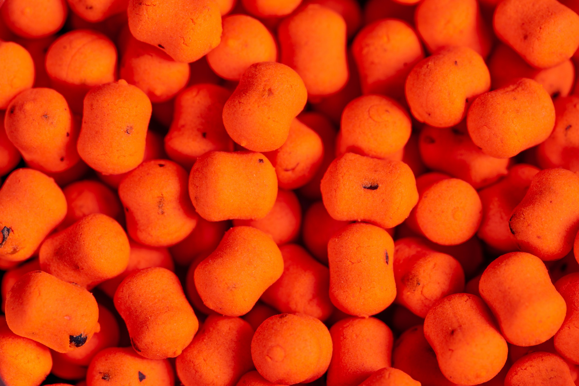 KRILL GARLIC HARD 3x5mm - 20gr